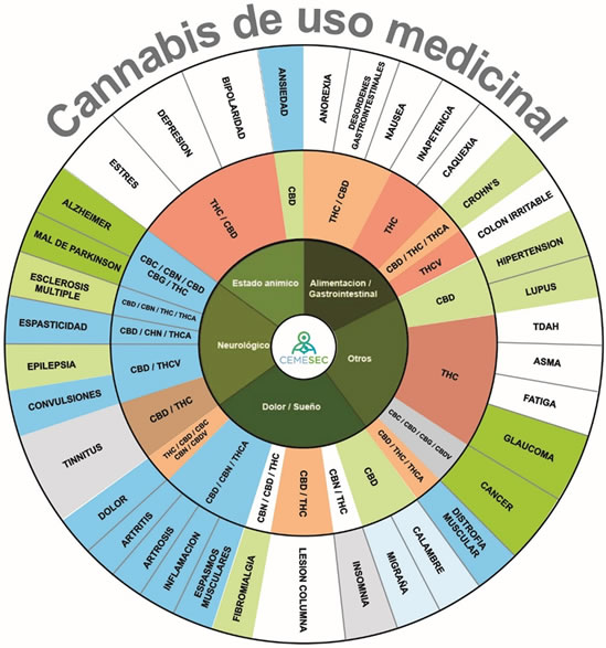 Santa Fe es pionera en el análisis del uso de cannabis medicinal en casos de cáncer