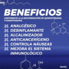 CBD + Kalanchoe - Imagen 2