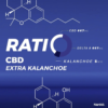 CBD + Kalanchoe - Imagen 3